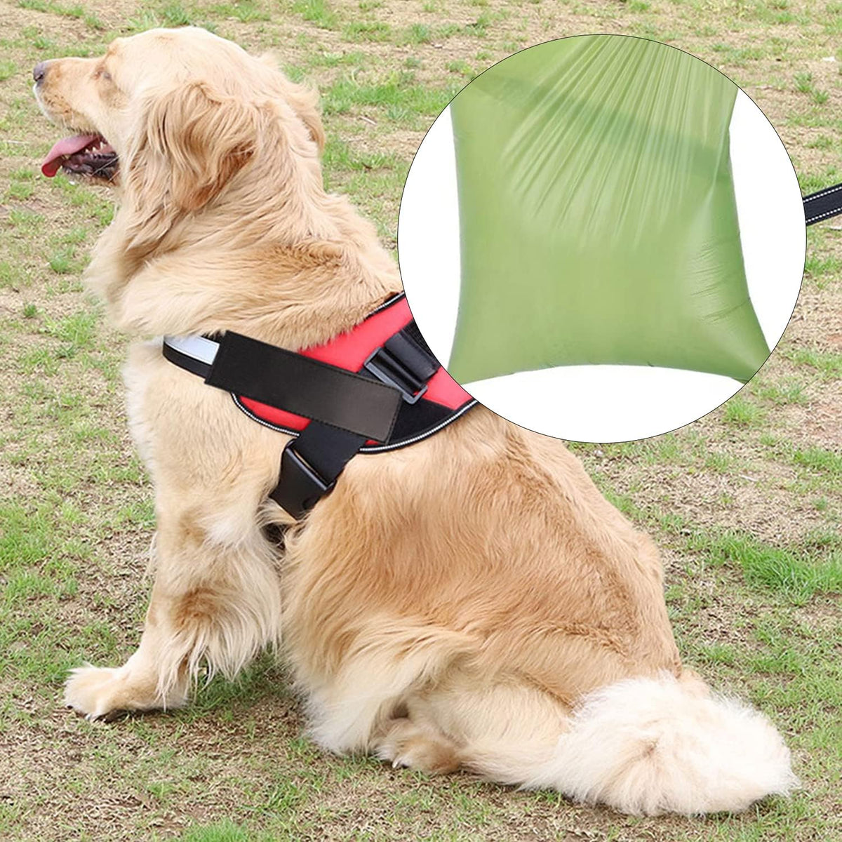 2 Pack Dog Poop Bag Dispenser with Built-In LED Flashlight, Pet Waste Bag Holder for Leash with Carabiner Clip for Lead Leash, 2 Rolls Leak-Proof Doggy Waste Bags for Dog Walking, Grey