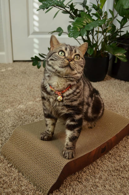 Necoichi Cardboard Cat Scratcher Bed for Indoor Cats - Cat Scratching Board, Horizontal Cat Scratch Pad Lounger with Reversible Usability and Extra Comfort for Lounge, Curved (22" Large, Dark Cherry)