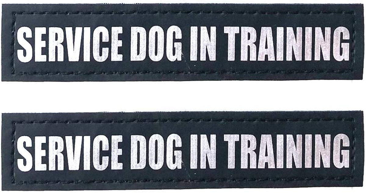 Reflective Service Dog in Training Patches with Hook and Loop Backing for Service Animal Vests /Harnesses XXS or Extra Small (3.5 X 1) Inch