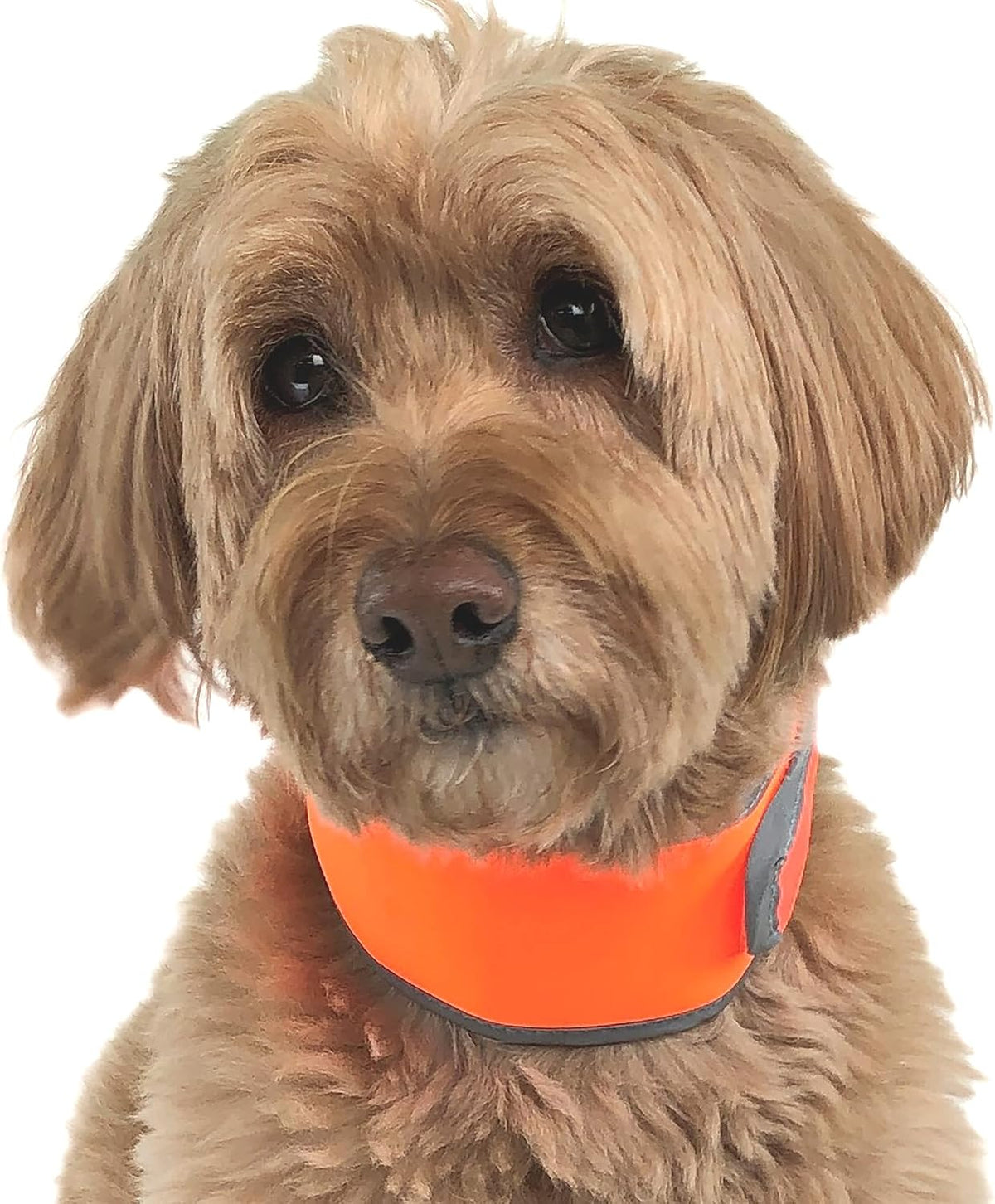 Hi-Vis Cooling Dog Collar for Medium Dogs – Reflective Re-Freezable Ice Collar for Hot Weather & Heat Relief (Orange, Medium)