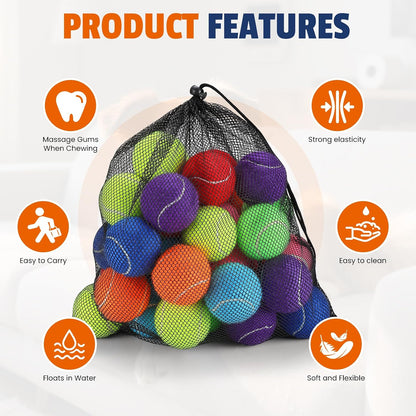 Colorful Tennis Balls for Dogs, 2.5 Inches, 16 Pack, Non Squeaky