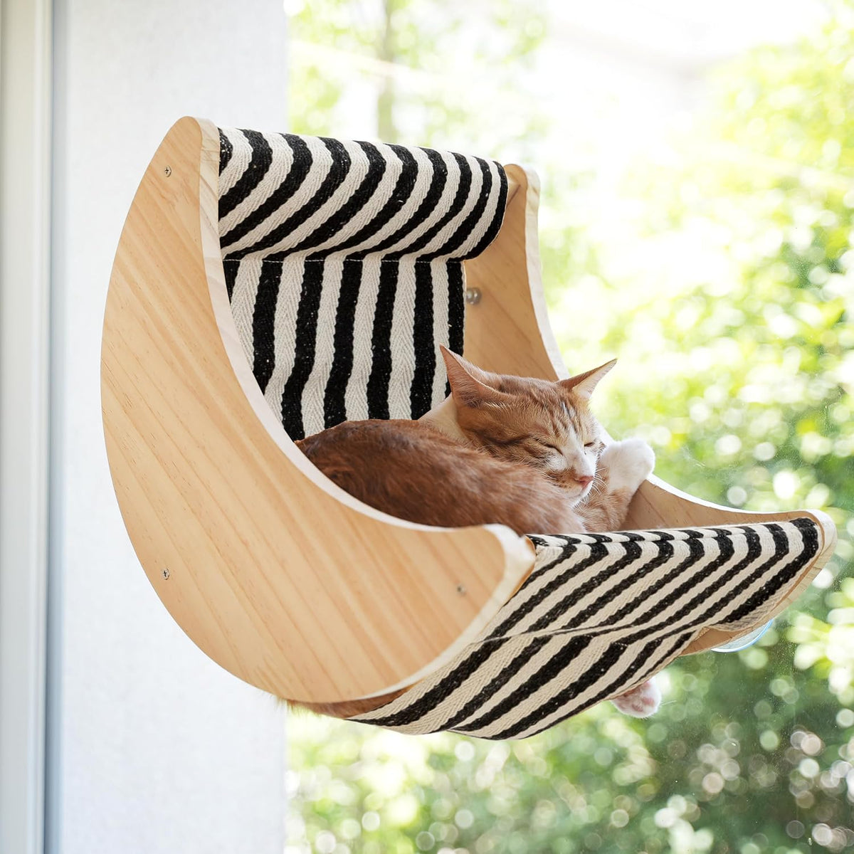 Cat Window Perch, Plywood Moon Bed with 4 Heavy-Duty Suction Cups