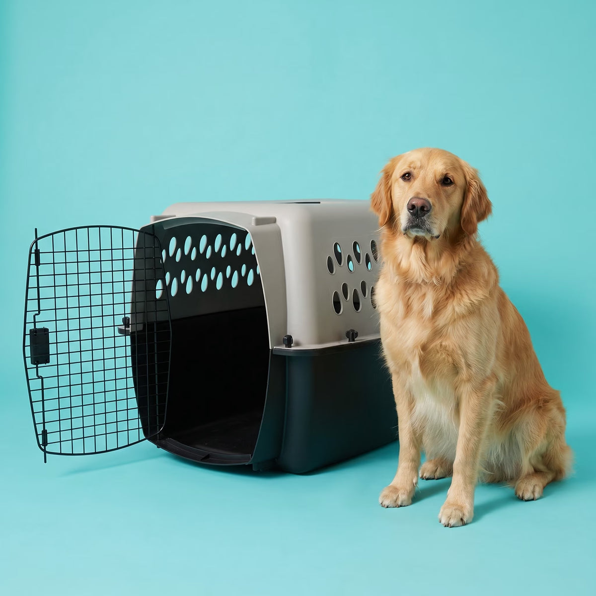 Large Plastic Hard-Sided Pet Carrier, Black and Gray, 90 Lb Limit