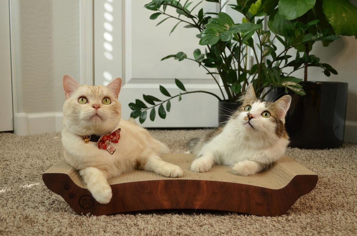Necoichi Cardboard Cat Scratcher Bed for Indoor Cats - Cat Scratching Board, Horizontal Cat Scratch Pad Lounger with Reversible Usability and Extra Comfort for Lounge, Curved (22" Large, Dark Cherry)