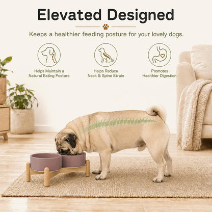 Ceramic Dog Bowls Elevated, Raised Dog Food Bowl for Puppies