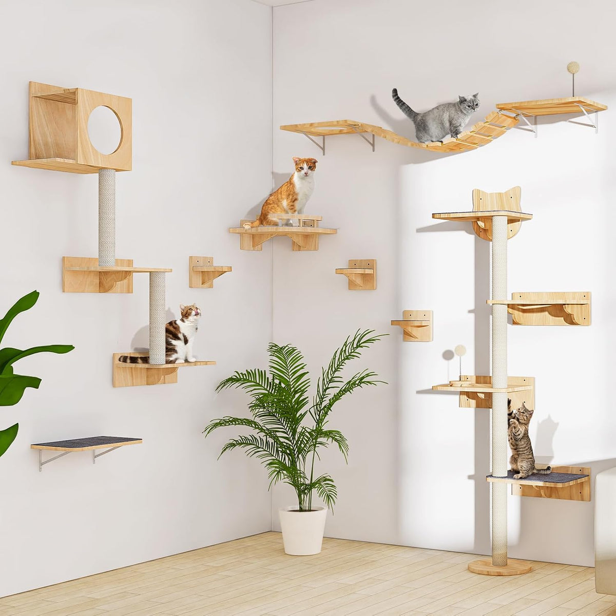 Cat Wall Shelves with 3 Steps, Wooden Cat Wall Furniture up to 15Lbs, Floating Stairs for Small/Medium Cats, Kitty Wide Climber Shelf with Cozy Perch for Indoor, Sleeping, Jumping, Playing
