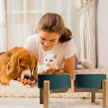 Elevated Ceramic Dog Bowl, 3.6 Cups Dog Food and Water Bowl Set with Stand