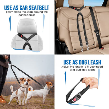 Double Dog Car Seat Belt, No Tangle Headrest Restraint