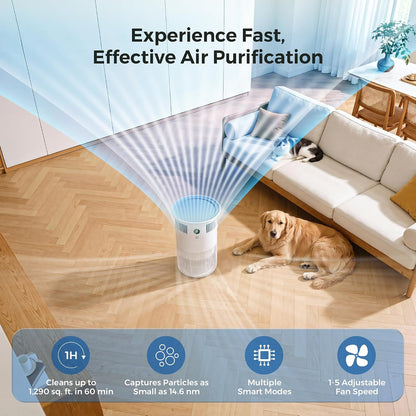 Air Purifier for Home Pets Bedroom Dorm Room Covers up to 1290 Sq.Ft