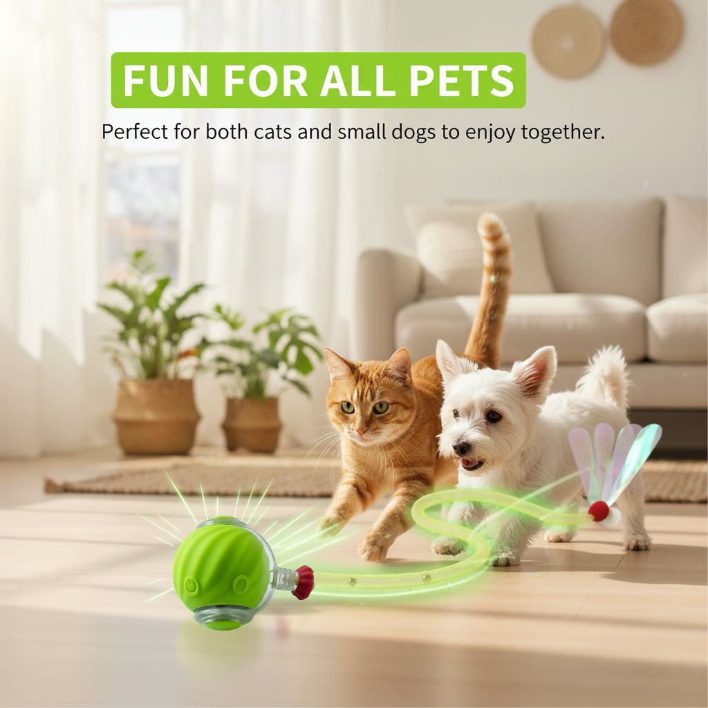 Automatic Rolling Ball for Cats – Rechargeable Smart Interactive Toy, Durable