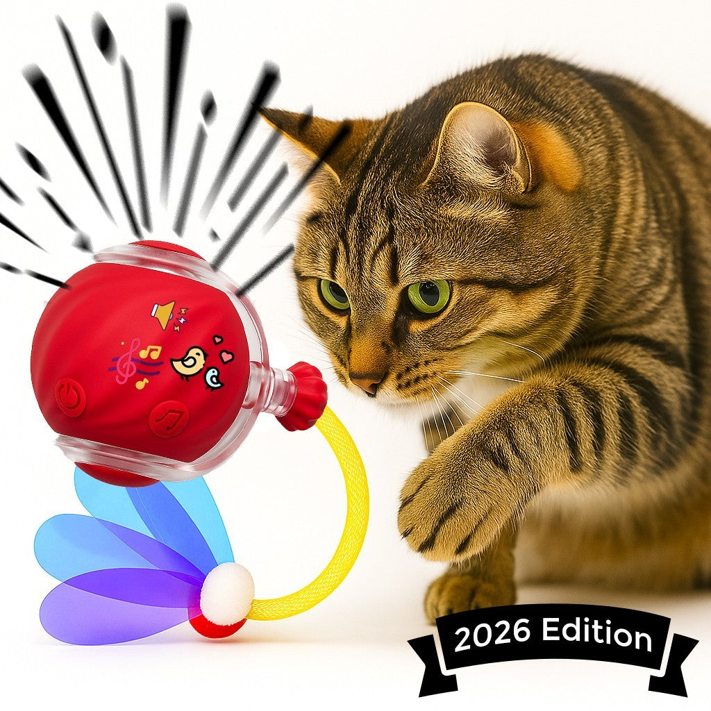 Automatic Rolling Ball for Cats – Rechargeable Smart Interactive Toy, Durable