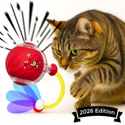 Automatic Rolling Ball for Cats – Rechargeable Smart Interactive Toy, Durable