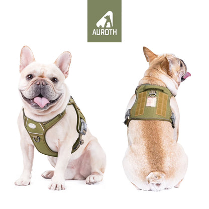 No Pull Dog Harnesses for Small Dogs, Adjustable Easy on Puppy Harness with with 2 Leash Clips, No Choke Front Harness, Reflective Soft Padded Dog Vest Pet Harness for Training Walking, Green