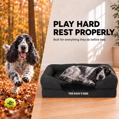 The Dog’S Bed Orthopedic Memory Foam Dog Bed with Bolsters for Medium Dogs