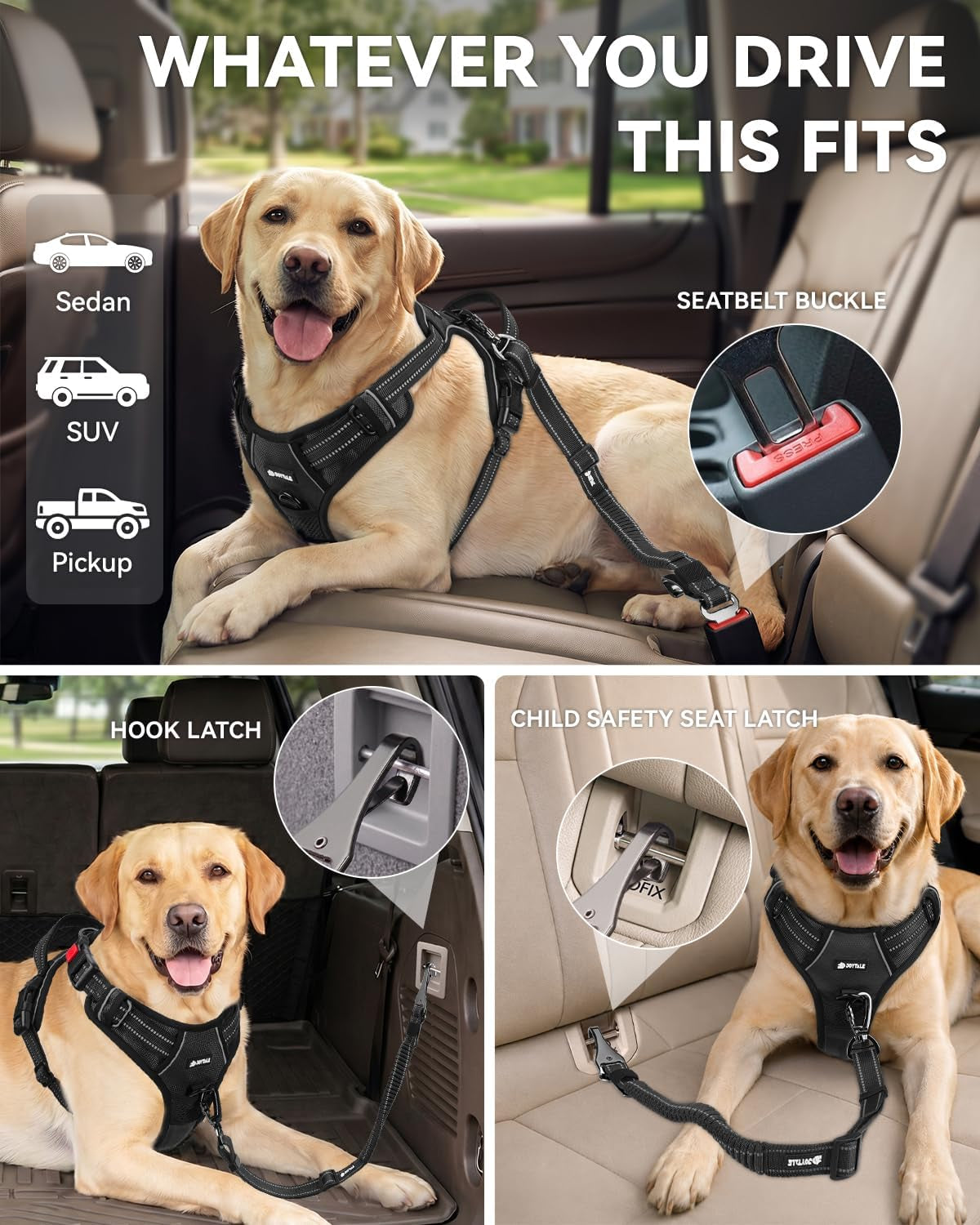3-In-1 Bungee Dog Seat Belt for Car, Medium and Large Dogs, Black