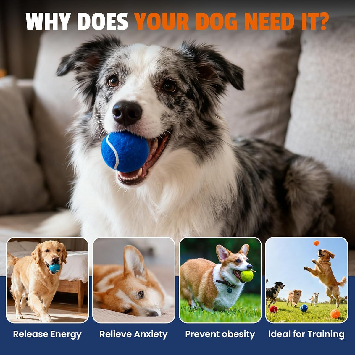 Colorful Tennis Balls for Dogs, 2.5 Inches, 16 Pack, Non Squeaky