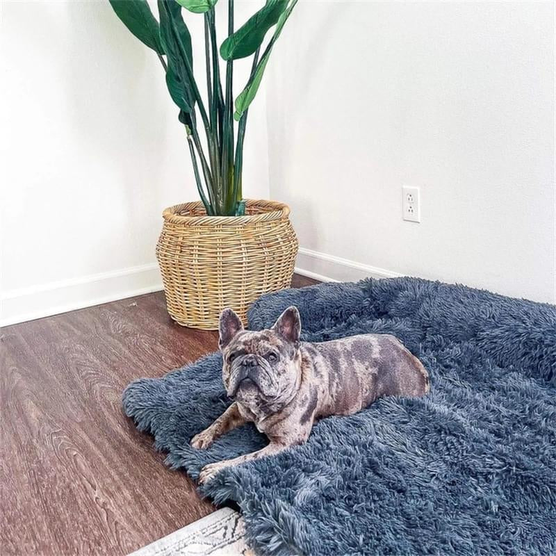 Dog Bed