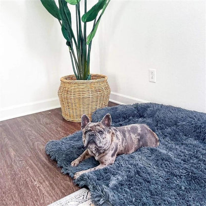Dog Bed