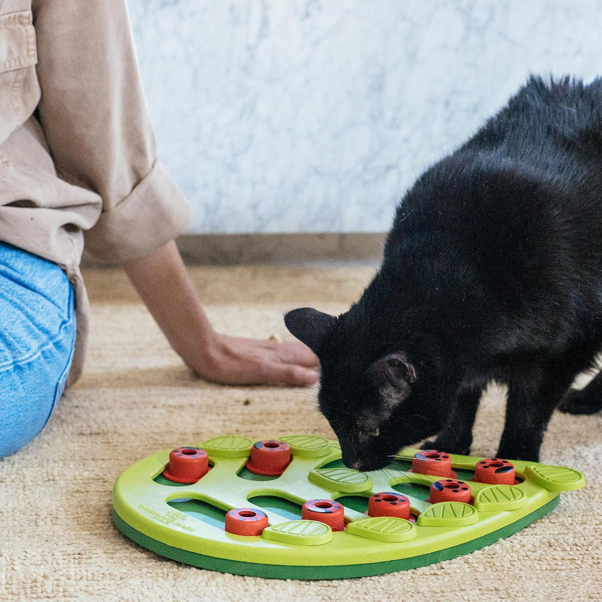 Nina Ottosson Buggin’ Out Puzzle & Play Cat Toy Treat Puzzle, 14"