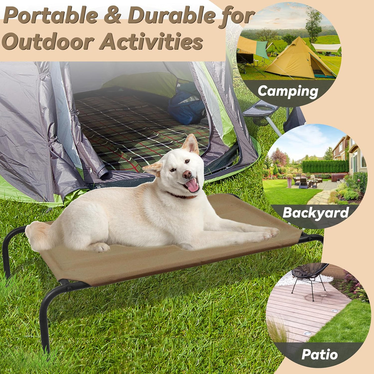 Elevated Dog Bed for Large Dogs